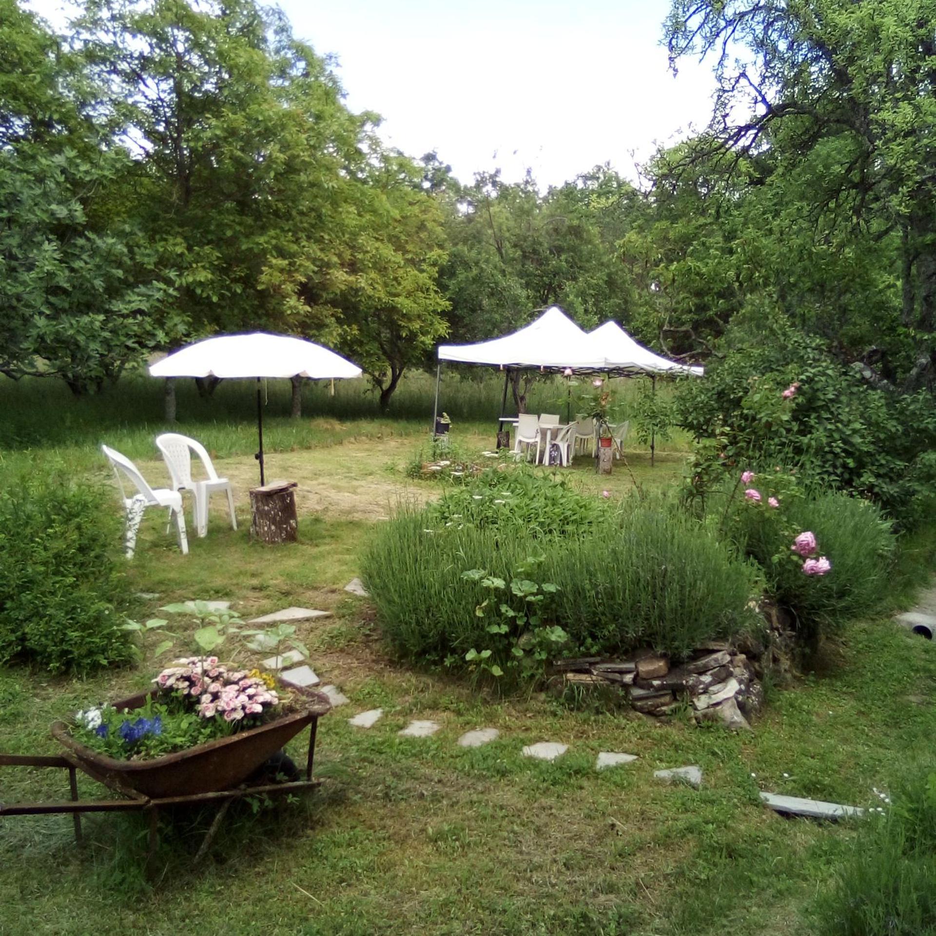 Casa Del Gigi Bnb Albareto  Экстерьер фото
